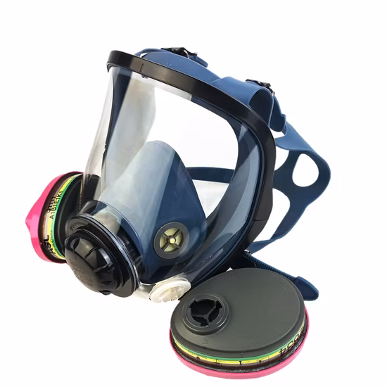 Nouveaux types de masques à gaz de sécurité à double filtre sac en nylon emballé masque à gaz portable complet
